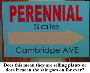 perennial sale.jpg