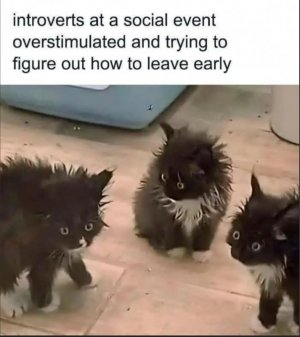 1000004337.jpg