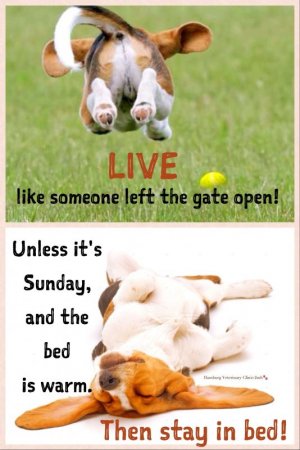 sunday2.jpeg