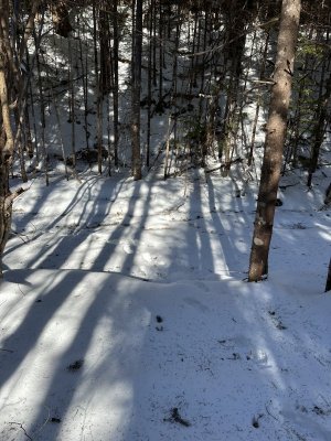 IMG_7569.jpeg
