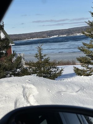 IMG_7565.jpeg