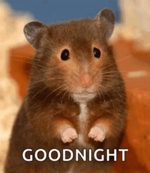 good-night-funny-waving-mouse-psrhkq9mnflm04no.gif