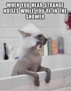 FB_IMG_1739744317207.jpg