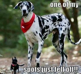 FB_IMG_1739742456538.jpg