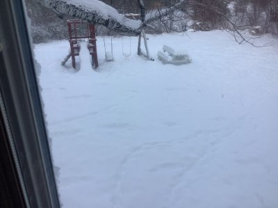 IMG_2312.jpeg