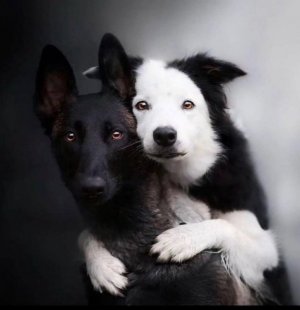 black and white.jpg