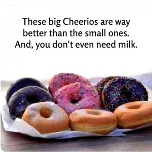 IMG_0503.jpeg
