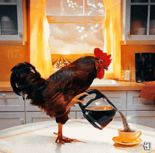 1739871286185.gif
