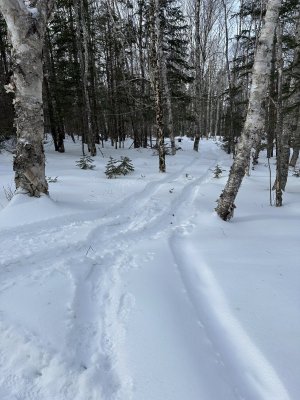 IMG_7590.jpeg