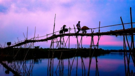 purple chinese bridge.jpg