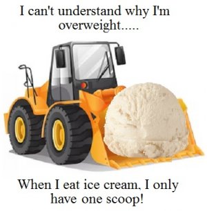 scoop.jpg