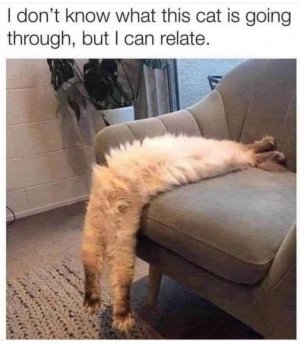 FB_IMG_1739921949209.jpg