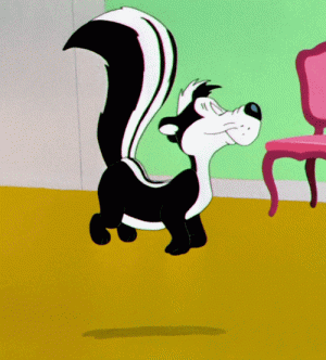 1739973231574.gif