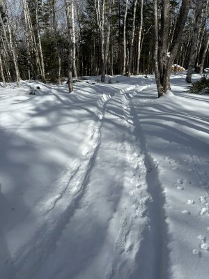 IMG_7599.jpeg