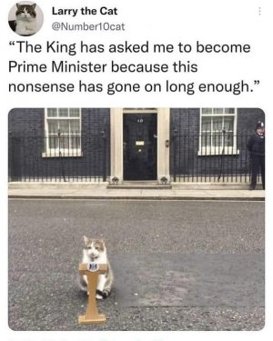 1000009613.jpg