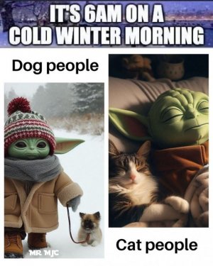 Dog Cat.jpg
