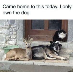 1000009646.jpg