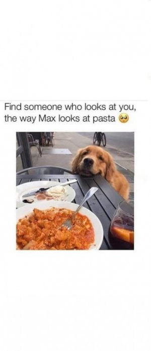 FB_IMG_1740088678660.jpg