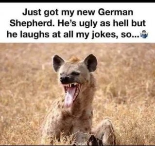 FB_IMG_1740093405833.jpg