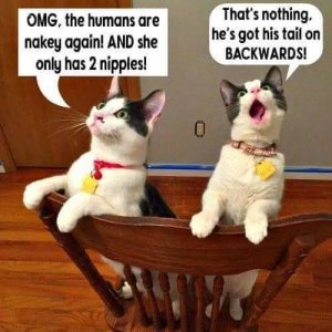 FB_IMG_1740093185472.jpg