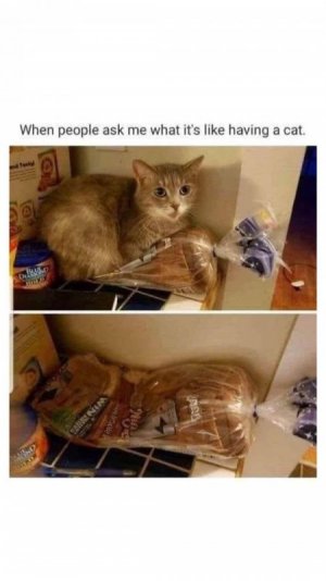IMG_0516.jpeg