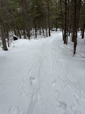 IMG_7627.jpeg