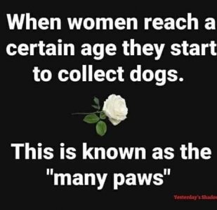 IMG_0549.jpeg