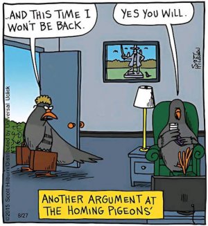 Argument.jpg