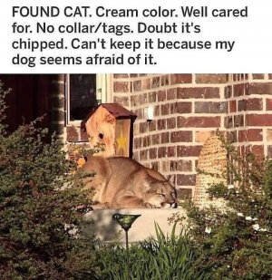 1740286404120.jpeg