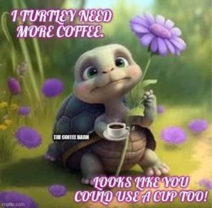 IMG_0570.jpeg