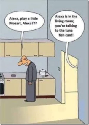 FB_IMG_1740178664557.jpg