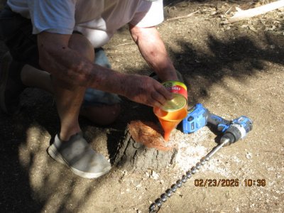IMG_7695.JPG