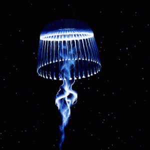 tumblr_cade194374f390fbc95d8c3daa70a3b9_4915f11c_400.gif (1).gif