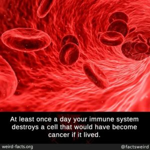 Cancer1.jpg
