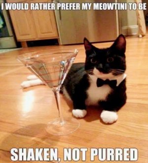 FB_IMG_1740338050255.jpg