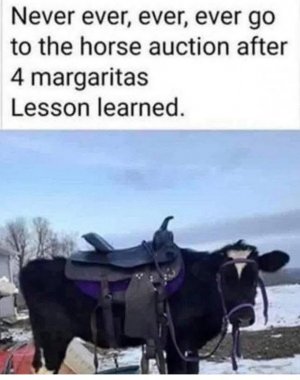 sc.jpeg