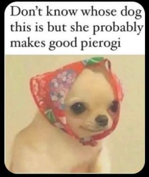 FB_IMG_1740093101598.jpg