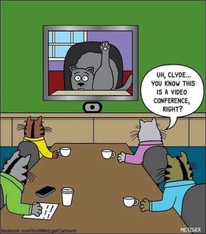 FB_IMG_1740093511623.jpg