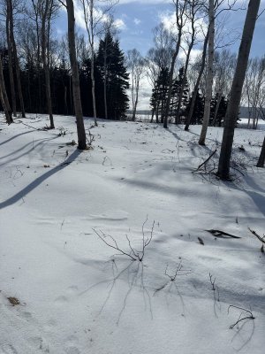 IMG_7667.jpeg