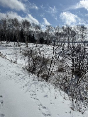 IMG_7666.jpeg