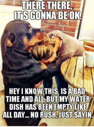 IMG_0616.jpeg