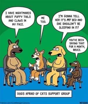 dogfunny.jpg