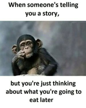 FB_IMG_1740535131435.jpg