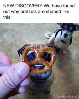 FB_IMG_1740539636597.jpg