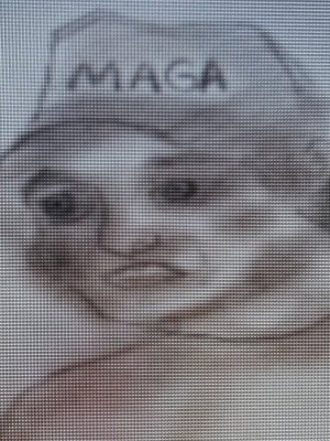 IMG_0688.jpeg