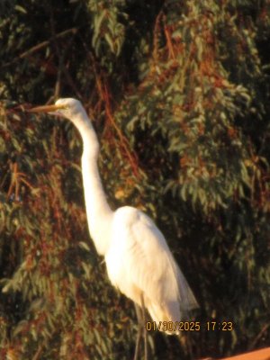 IMG_7451.JPG