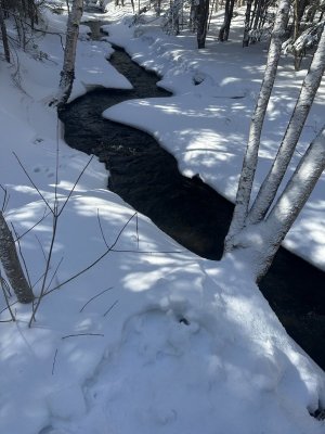 IMG_7688.jpeg