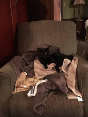 IMG_1929.jpeg