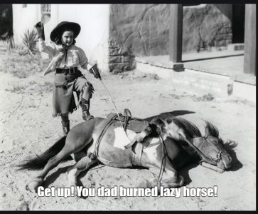 horse.jpg