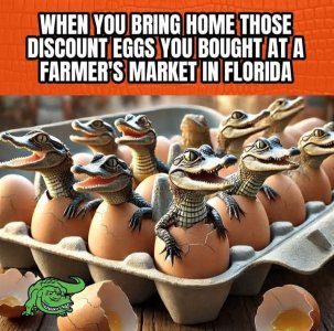 FB_IMG_1740708813583.jpg